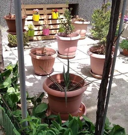 Draga Apartment Nesebar